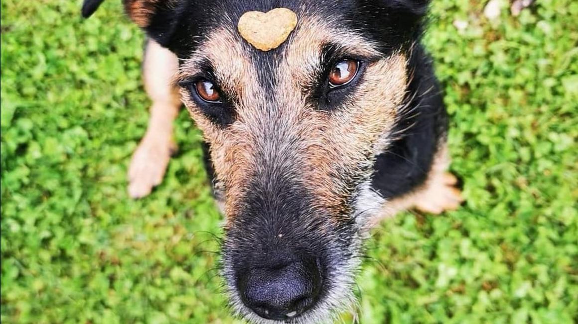 Foto: Nina Pogač