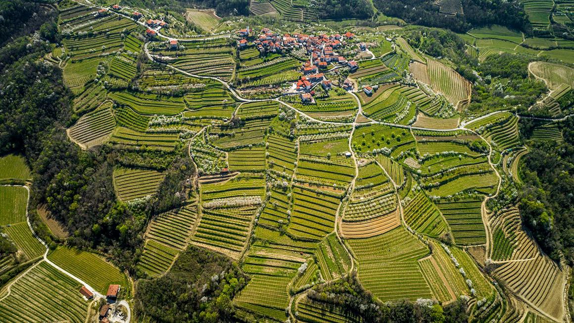 Foto: Zavod za turizem, kulturo, mladino in šport Brda
