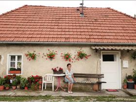Film - mehak mehanizem za družbene spremembe